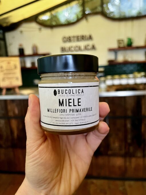 Miele millefiori primaverile