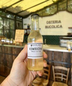 Kombucha Foglie di Fico