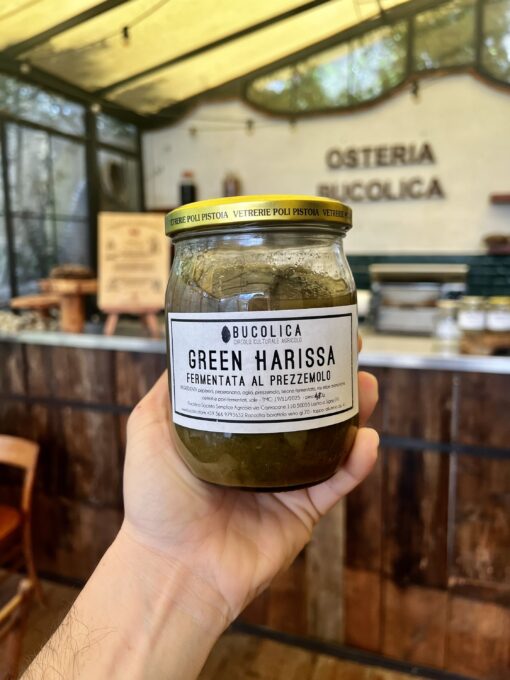 Green Harissa fermentata grande