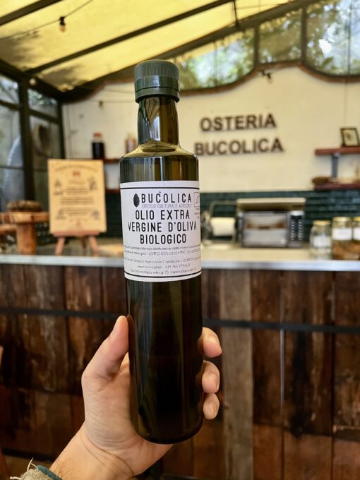 Olio extravergine di oliva biologico 0,5l