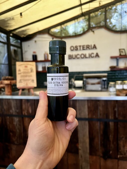 Olio extravergine di oliva biologico 0,1l