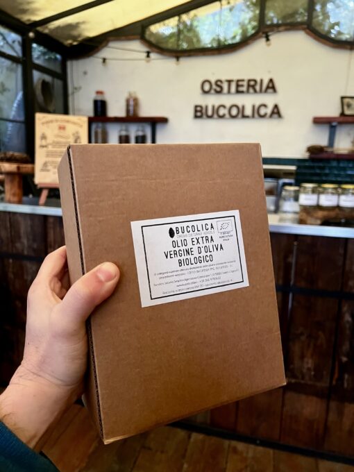 Olio extravergine di oliva biologico 3l