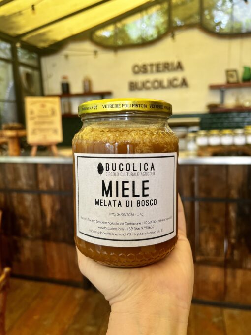Miele Melata di bosco 1kg