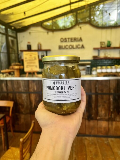 Pomodori verdi fermentati grande