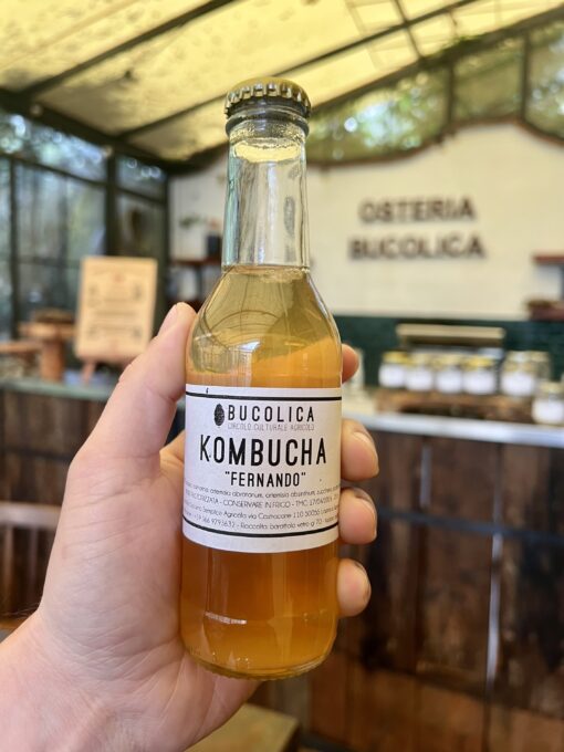 Kombucha "Fernando"