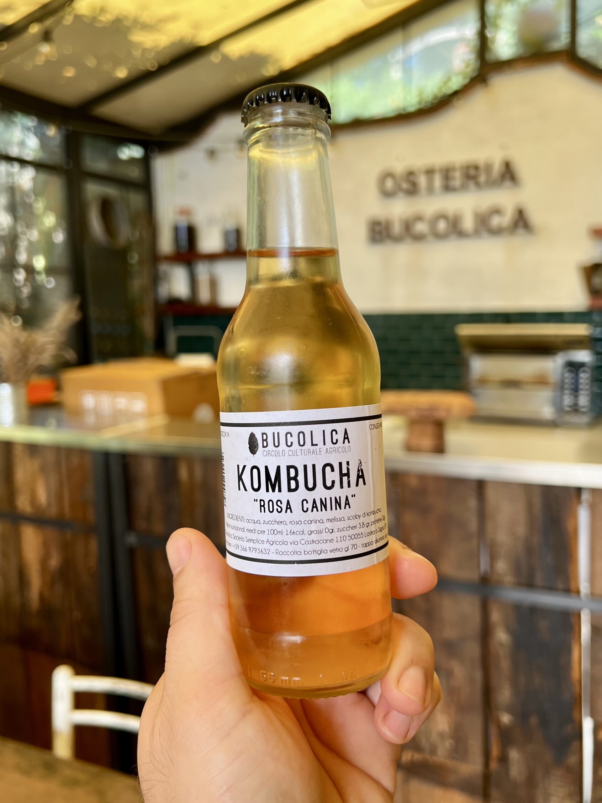 Kombucha Rosa Canina